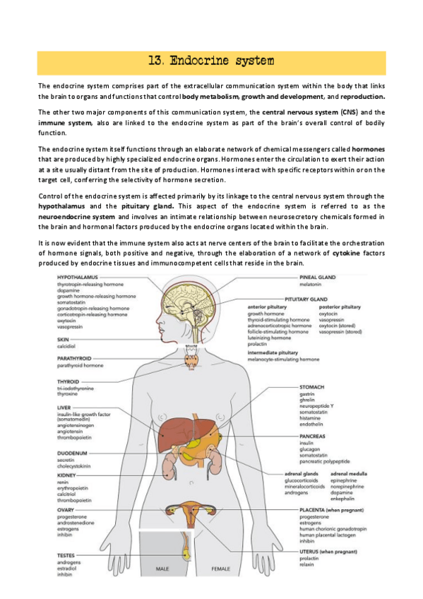 Miniatura del documento 13-and-14-CBC.pdf