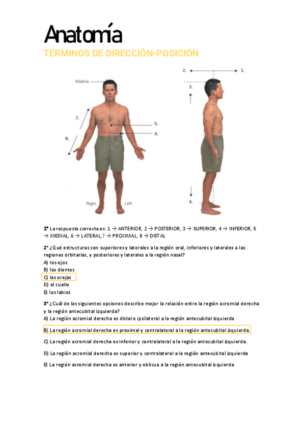 Miniatura del documento TERMINOS-DE-DIRECCION-POSICION.pdf