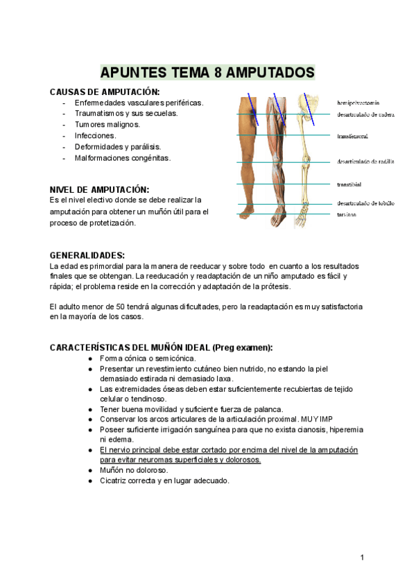 Miniatura del documento APUNTES-TEMA-8-AMPUTADOS-FAL2.pdf