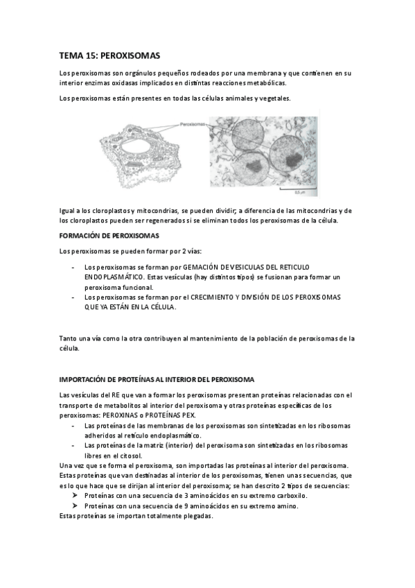 Miniatura del documento tema-15-peroxisomas.pdf