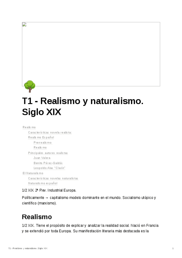 Miniatura del documento T1-Realismo-y-naturalismo.-Siglo-XIX.pdf