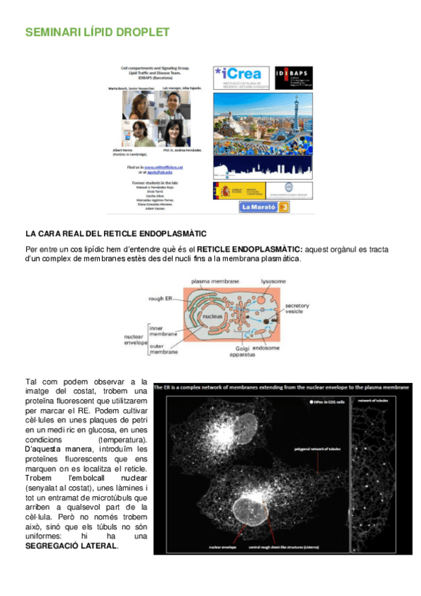 Miniatura del documento SEMINARI LÍPID DROPLET - copia.pdf