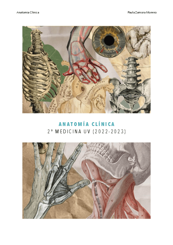 Miniatura del documento Apuntes-Anatomia-Clinica.pdf