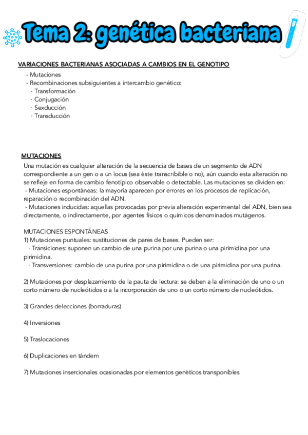 Miniatura del documento TEMA-2-MICRO-II.pdf