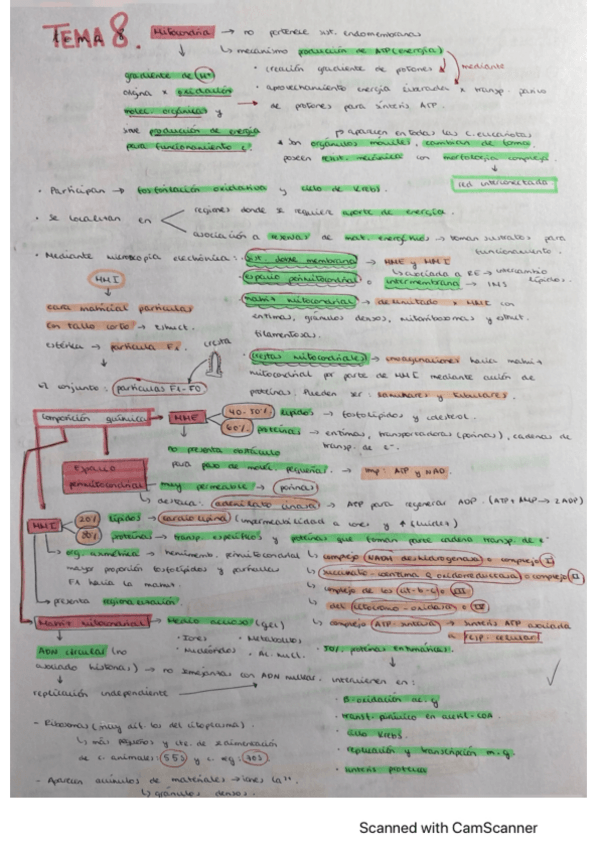 Miniatura del documento RESUMENES-BIOLOGIA-CELULAR.pdf