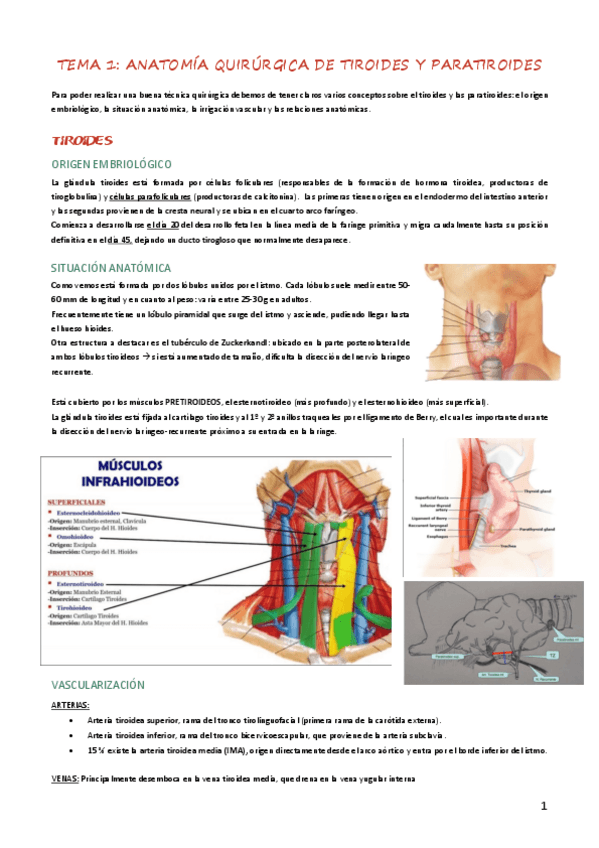 Miniatura del documento cirugia-tiroides-y-obesidad.pdf