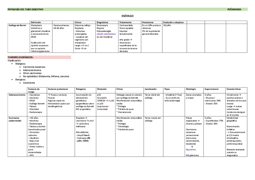 Miniatura del documento E27-Patologia-del-tubo-digestivo.pdf