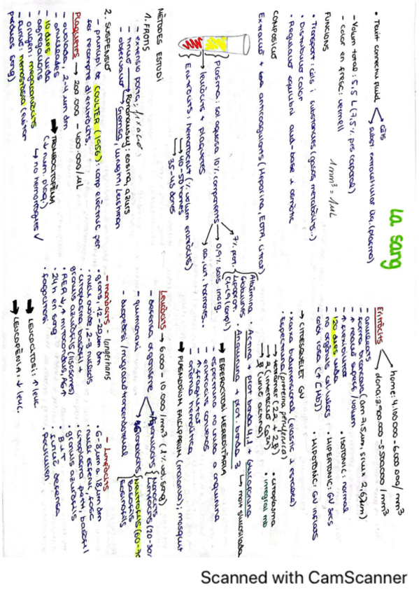 Miniatura del documento Resumen-teoria-BCT.pdf