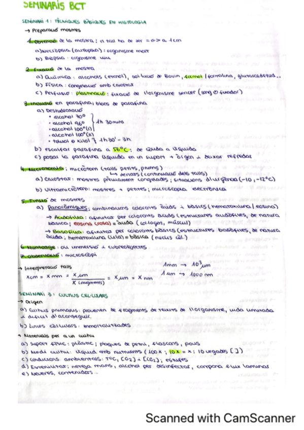 Miniatura del documento Seminarios-BCT.pdf