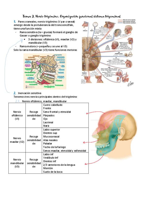 Miniatura del documento bloque-III.pdf