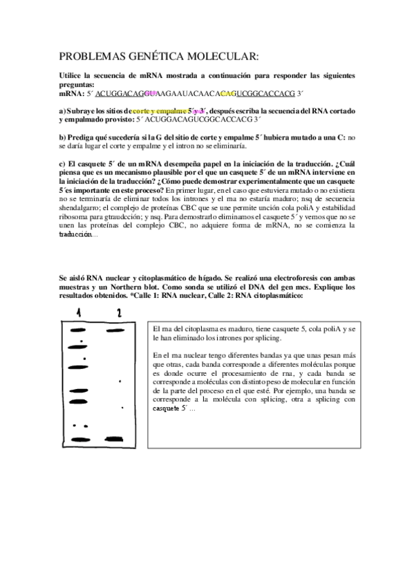 Miniatura del documento Problemas-genetica-molecular.pdf