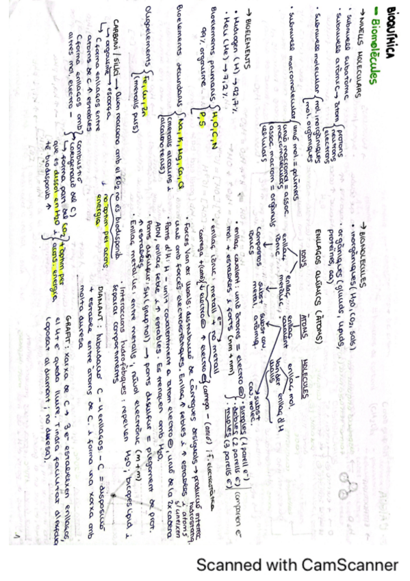 Miniatura del documento Esquemas-Resumen-BQ.pdf