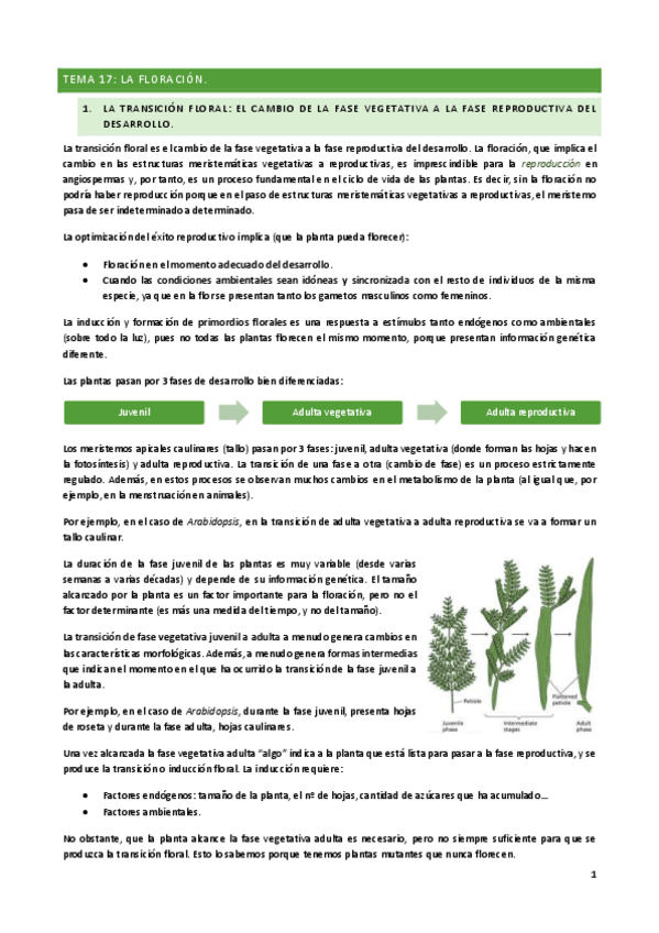 Miniatura del documento TEMA-17.pdf