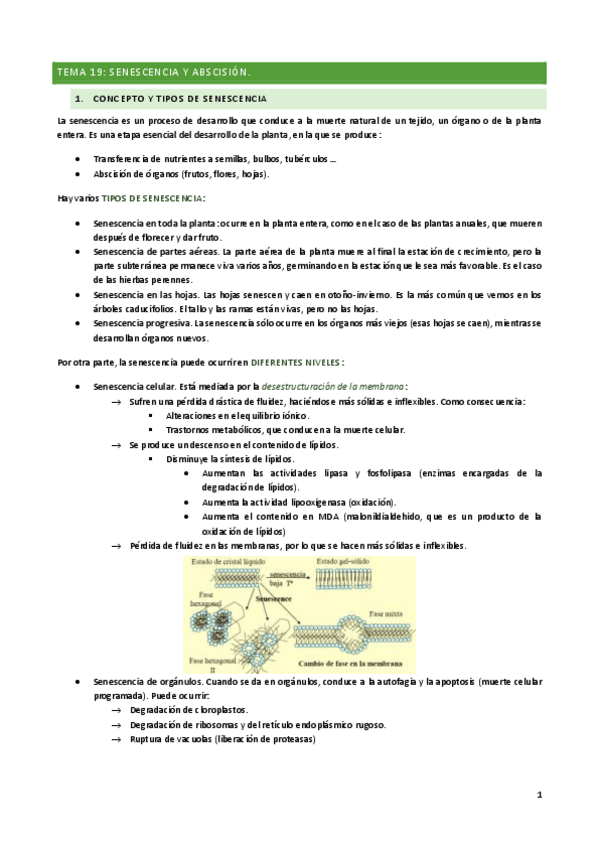 Miniatura del documento TEMA-19.pdf