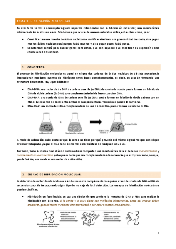 Miniatura del documento TEMA-3.pdf