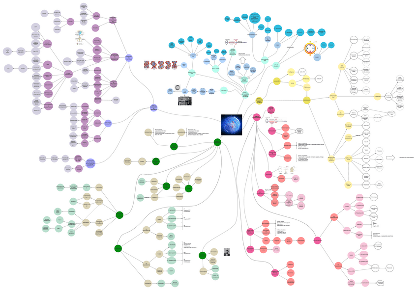 Miniatura del documento Mapa-mental.pdf