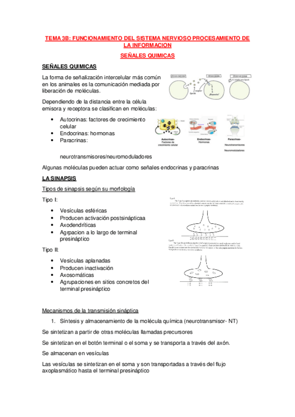 Miniatura del documento Tema-3B.pdf