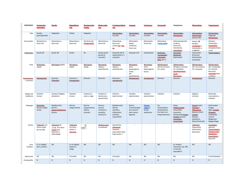 Miniatura del documento PARASITO.-2pdf.pdf