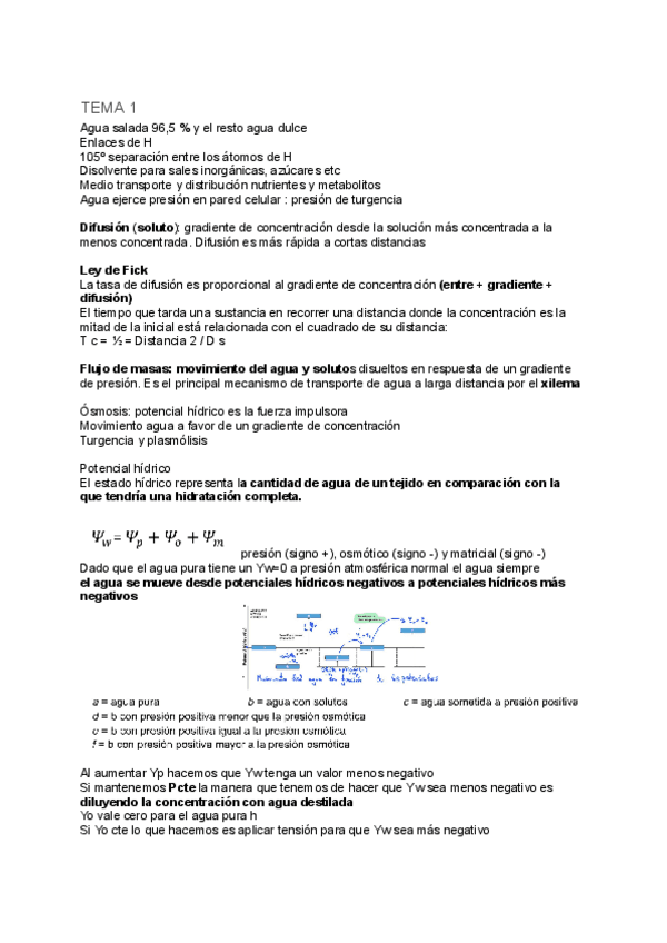 Miniatura del documento super-resumen-fisio.pdf