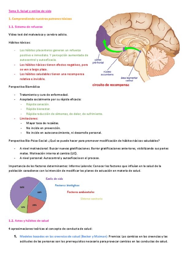 Miniatura del documento Tema-3.-Salud-y-estilos-de-vida.pdf