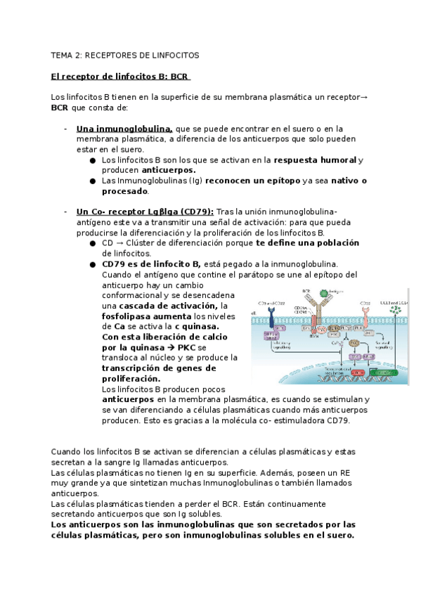 Miniatura del documento Receptores-de-Linfocitos.docx