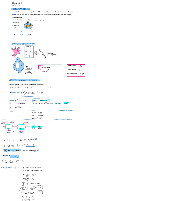 Miniatura del documento EXAMEN-2-BIOFISICA.pdf