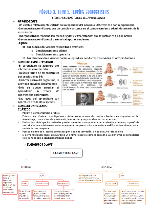 Miniatura del documento TEMA-TEORIAS-MODULO-III-psicologia-ed.pdf