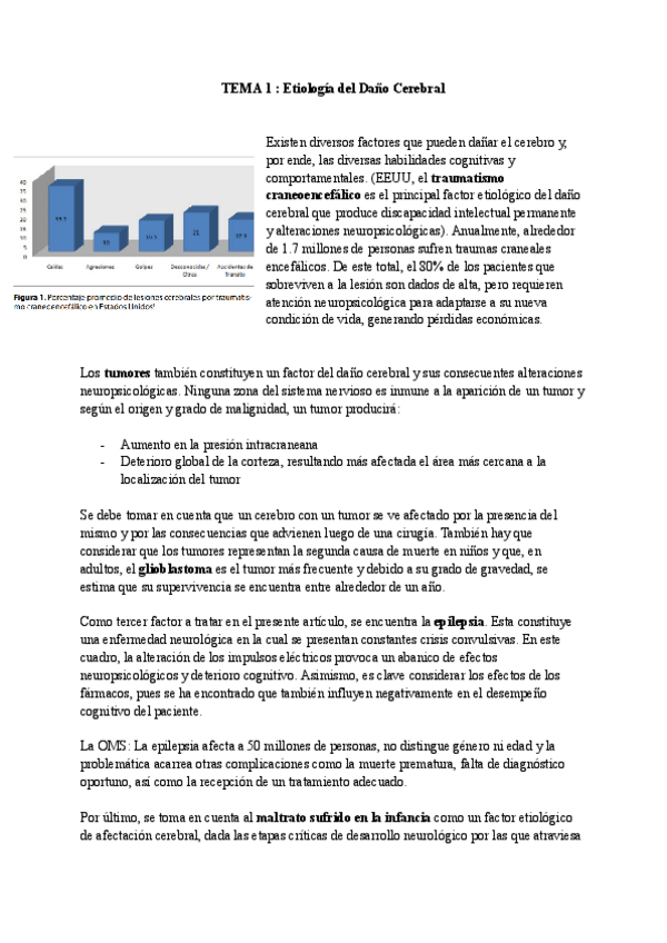 Miniatura del documento tema-1-Carmen-cuenca-completo.pdf