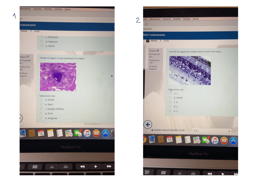 Miniatura del documento Capturas-2xpag.pdf