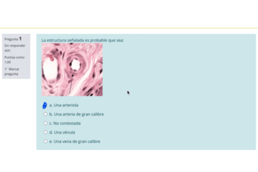 Miniatura del documento Capturas-examen-histología.pdf
