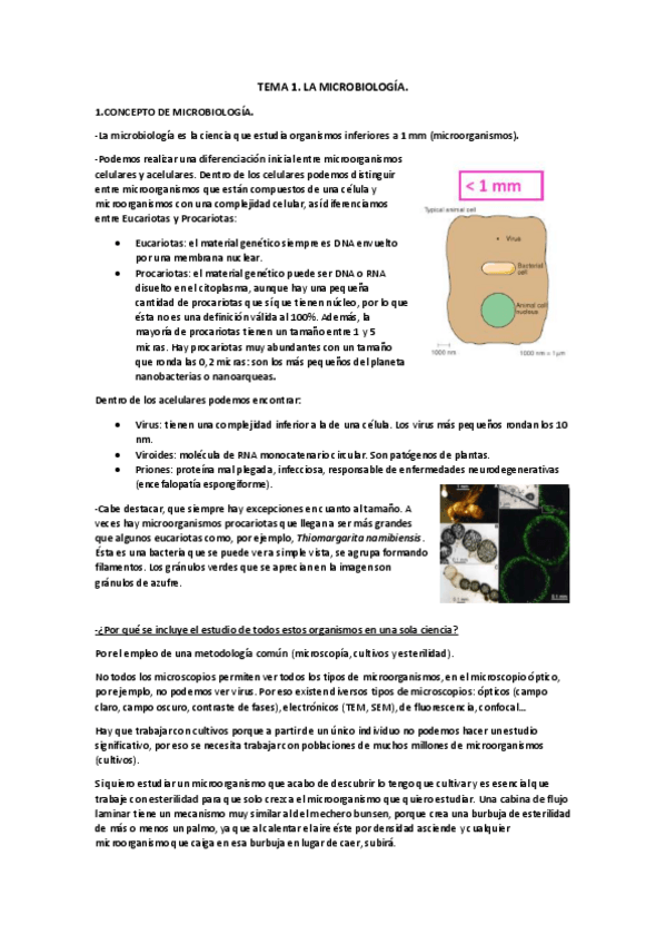 Miniatura del documento Temario Microbiología.pdf
