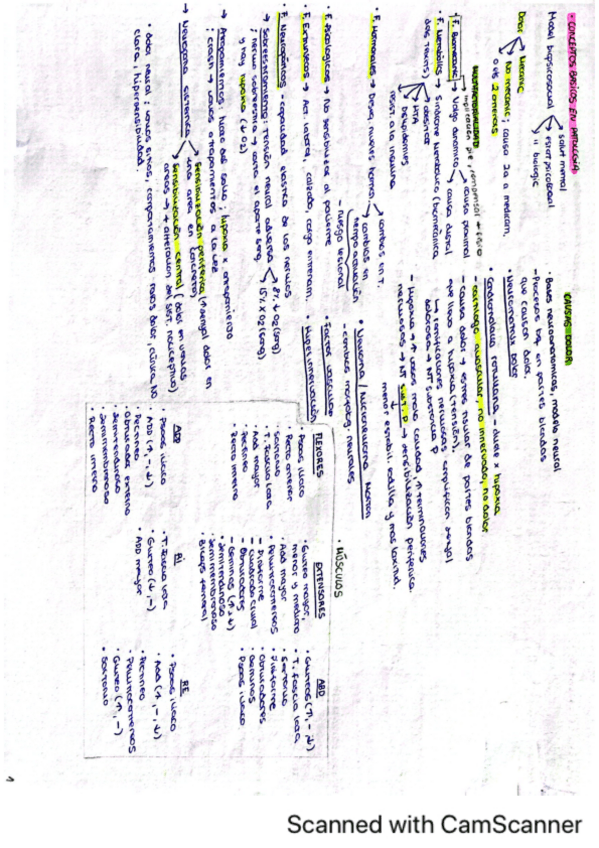 Miniatura del documento Esquemas-resumen-teoria-patopodo.pdf