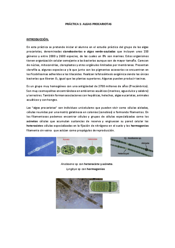 Miniatura del documento Prácticas Botánica.pdf