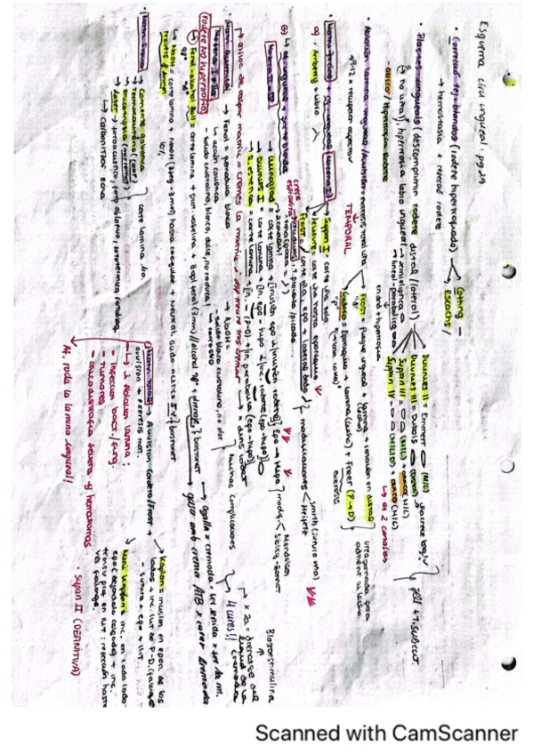 Miniatura del documento Esquemas-resumen-Ciru-I.pdf