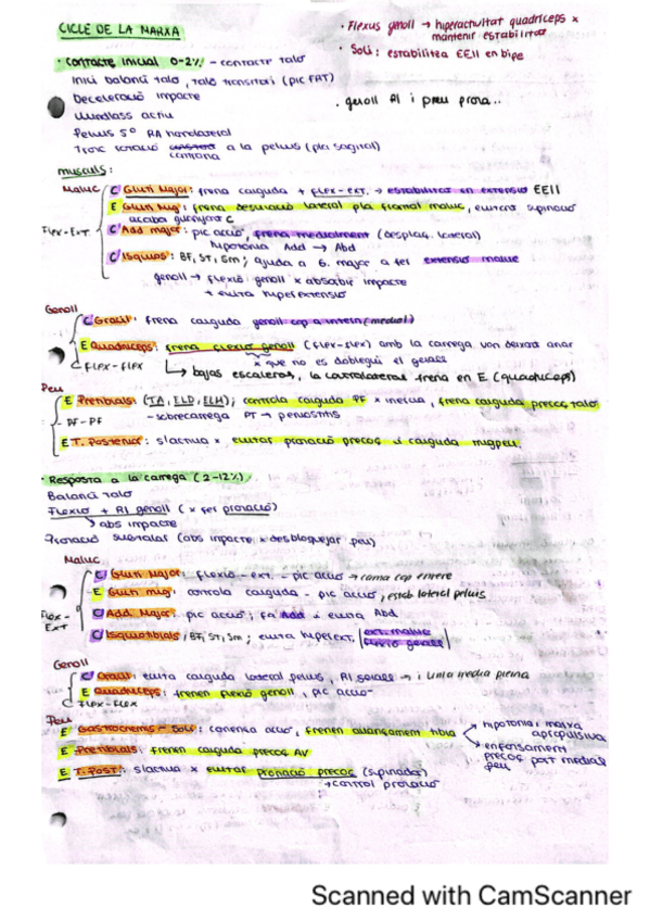 Miniatura del documento Cicle-de-la-marxa-resum-TFP.pdf