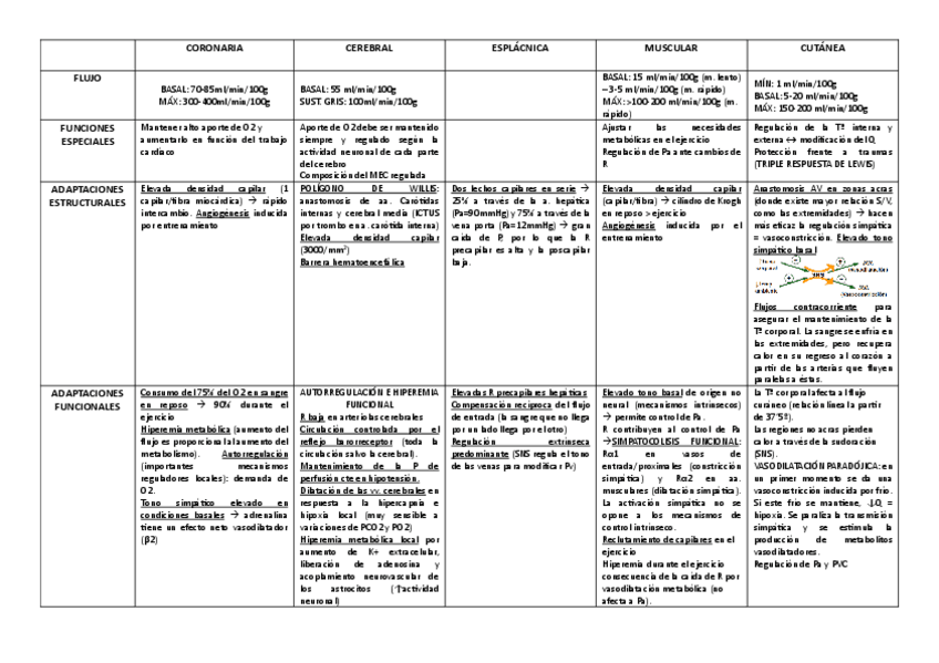 Miniatura del documento circulaciones-especiales-tabla.pdf