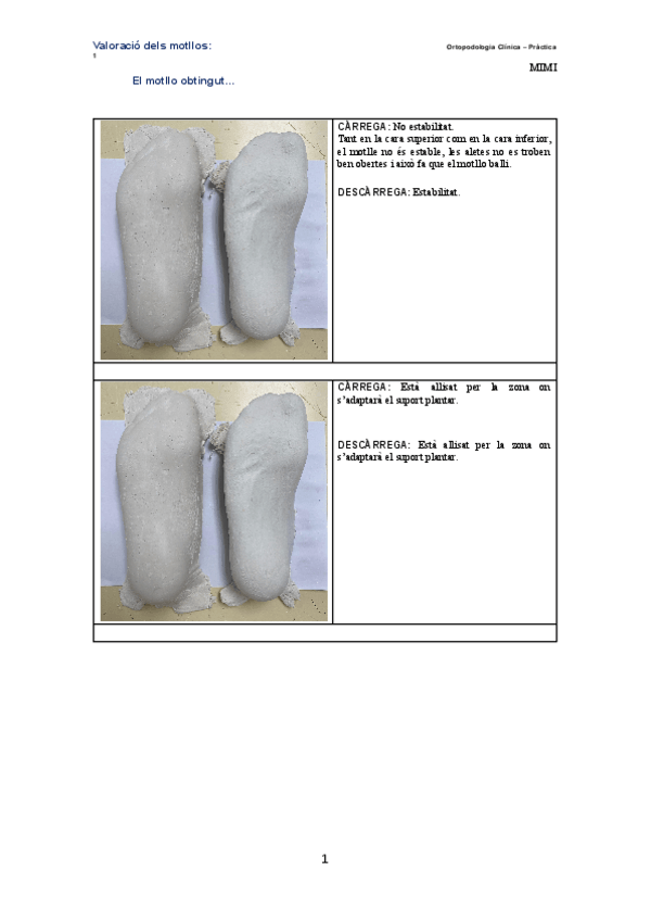 Miniatura del documento RUBRICA-P1-ORTO.docx.pdf