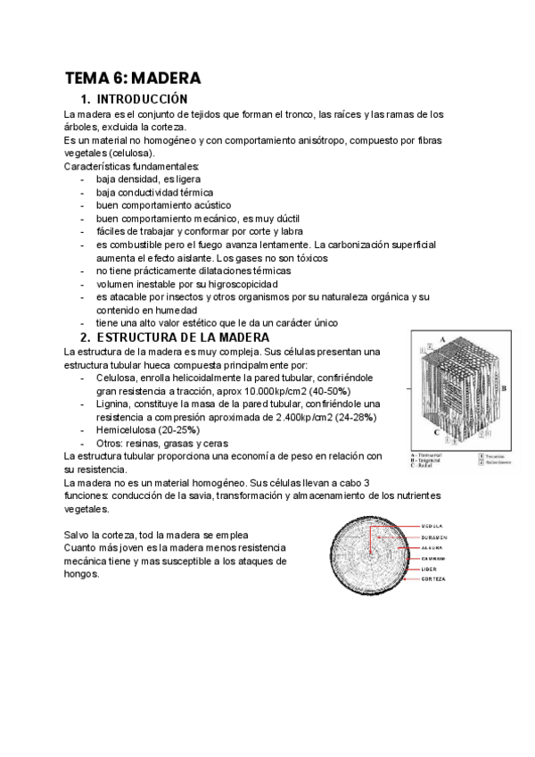 Miniatura del documento TEMA-6-Madera.pdf