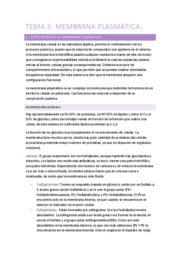 Miniatura del documento TEMA 3.1.pdf