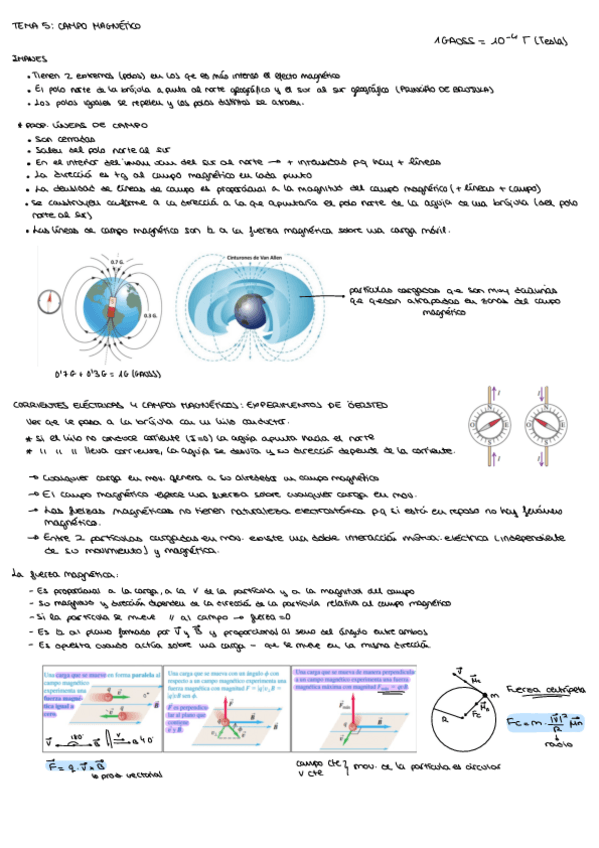Miniatura del documento T-5.pdf