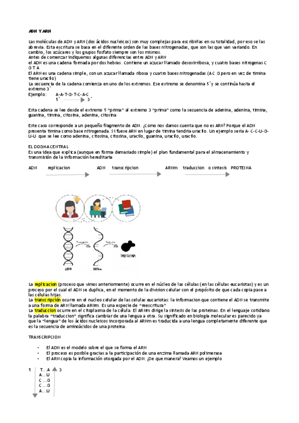 Miniatura del documento adn-Y-arn.pdf
