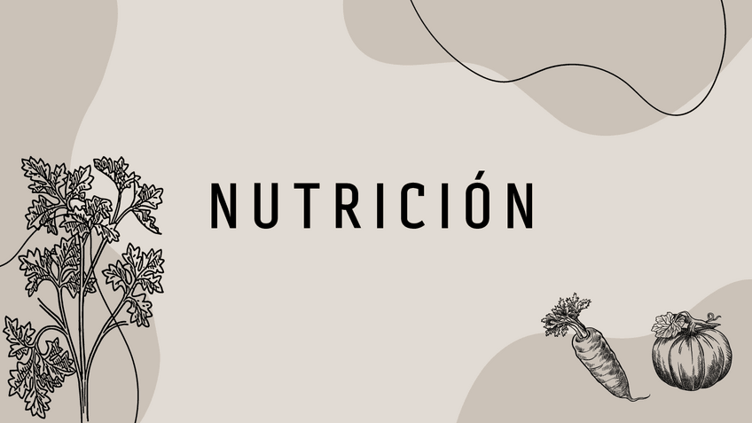 Miniatura del documento NUTRICION.pdf