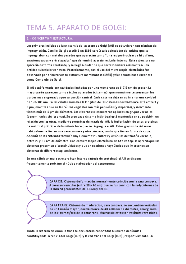 Miniatura del documento TEMA 5 (golgi).pdf
