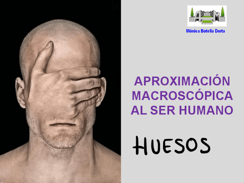 Miniatura del documento UT1 APUNTES- HUESOS.pdf