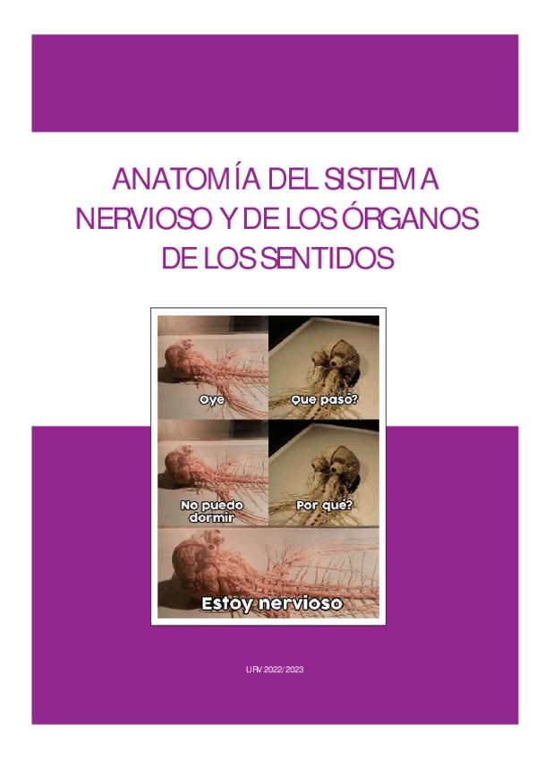 Miniatura del documento ANATOMIA-DEL-SISTEMA-NERVIOSO-Y-DE-LOS-ORGANOS-DE-LOS-SENTIDOS-p1compressed.pdf