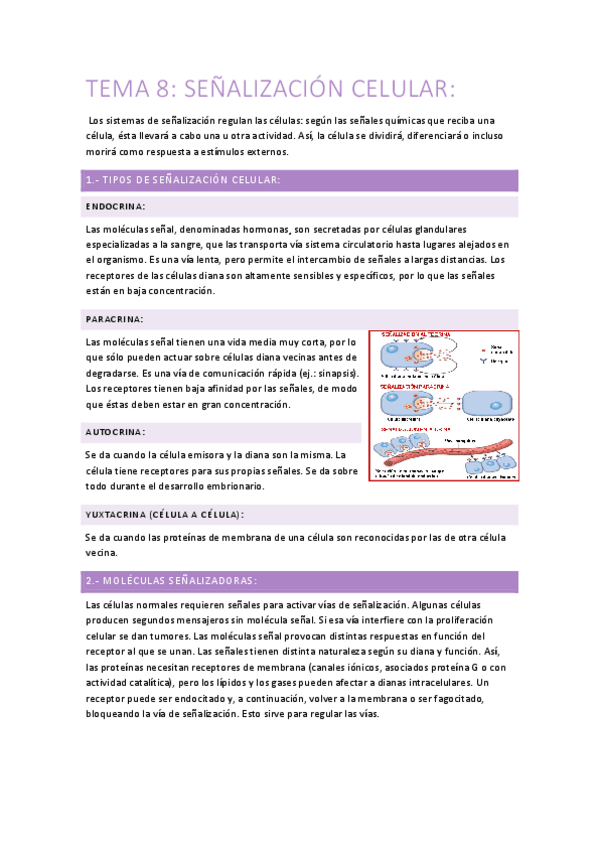 Miniatura del documento TEMA 8.pdf