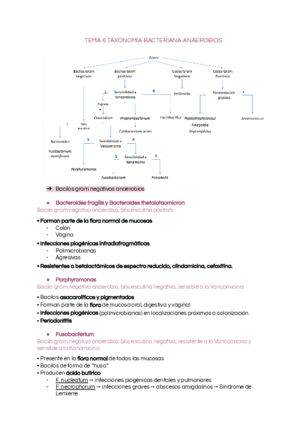 Miniatura del documento Taxonomia-anaerobios.pdf