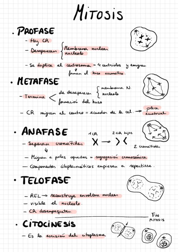 Miniatura del documento UT-3. Material genético y sus implicaciones.pdf