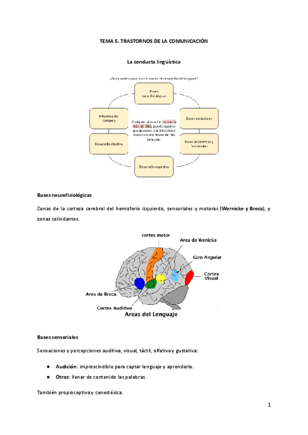 Miniatura del documento T5.-Trastornos-de-la-comunicacion.pdf