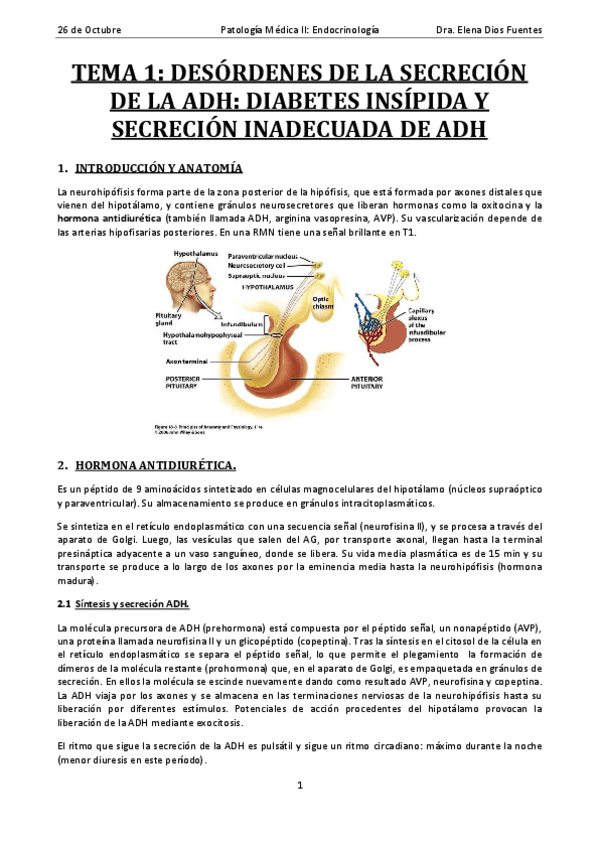 Miniatura del documento Tema 1. Desórdenes en la secreción de ADH. Diabetes insípida y SIADH. .pdf